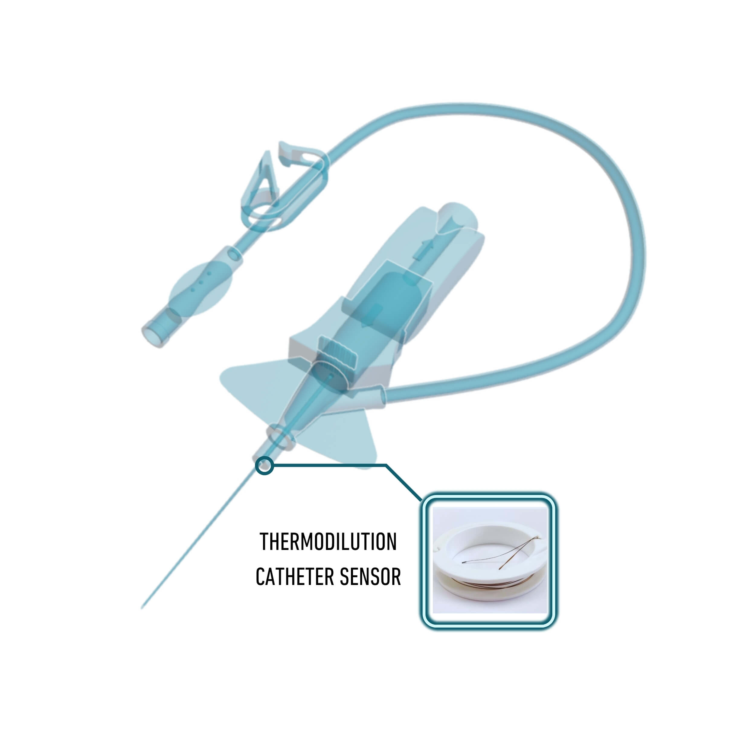 Thermodilution Catheter